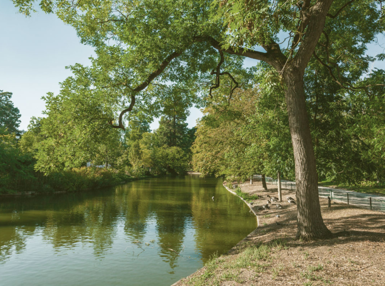 Bordeaux Jardin Public