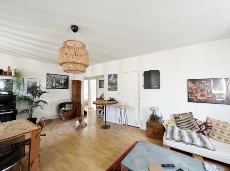 Bordeaux St Pierre appartement T4 - salon