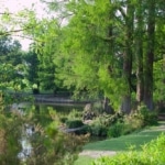 Ville de Pessac dans la métropole de Bordeaux - Parc du Bourgaihl
