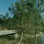 sources-du-peugue-pessac