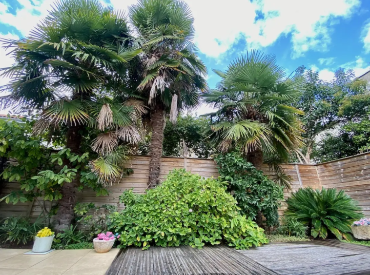 Bordeaux Fondaudège maison avec piscine 11