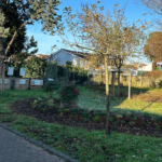 Bègles - jardins partagés