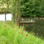 Arrière-pays bordelais