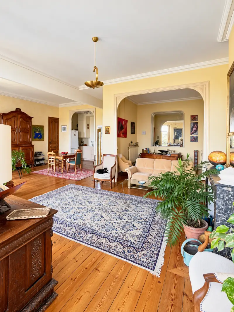 Triangle d'or vaste appartement T4 - living room