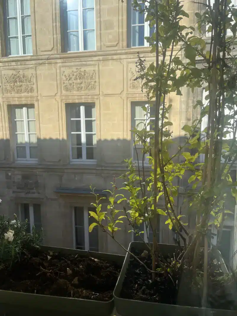 Bordeaux Quinconces appartement duplex - extérieurs